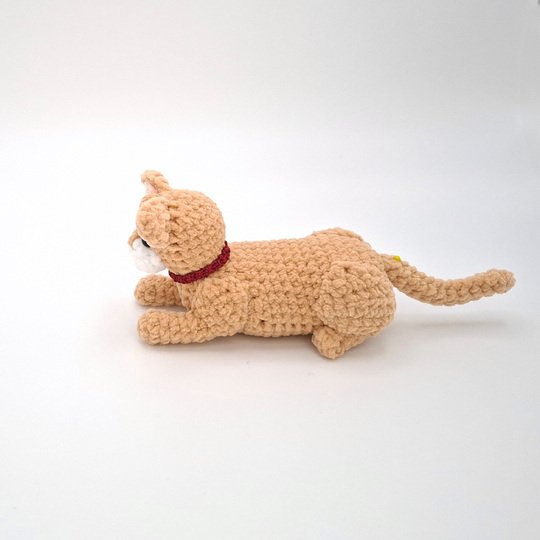 Charlie, the sphinx cat