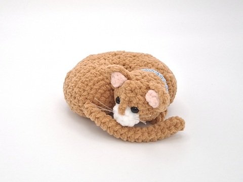 Carlotta, die eingeringelte Katze