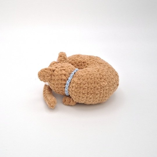 Carlotta, the curled cat