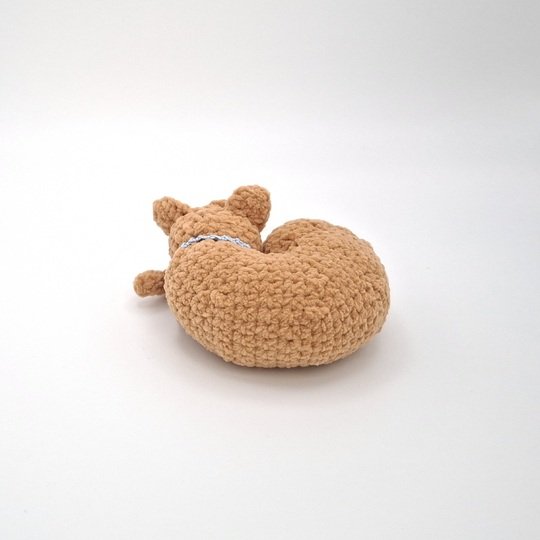 Carlotta, the curled cat