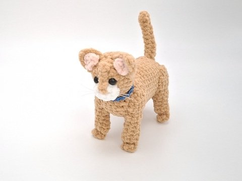 Cleo, the standing cat