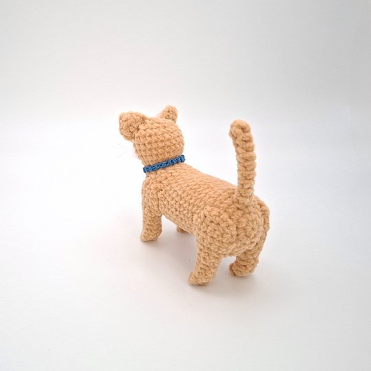 Cleo, die stehende Katze