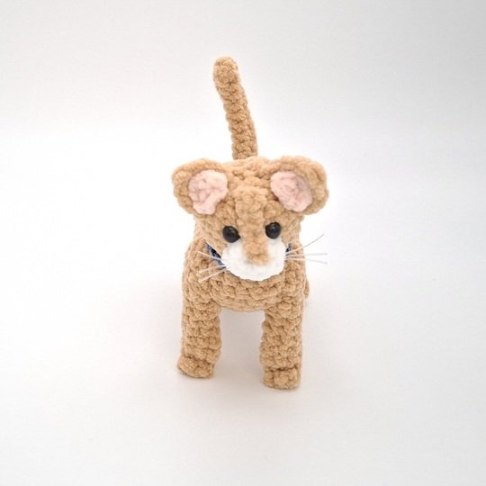 Cleo, the standing cat