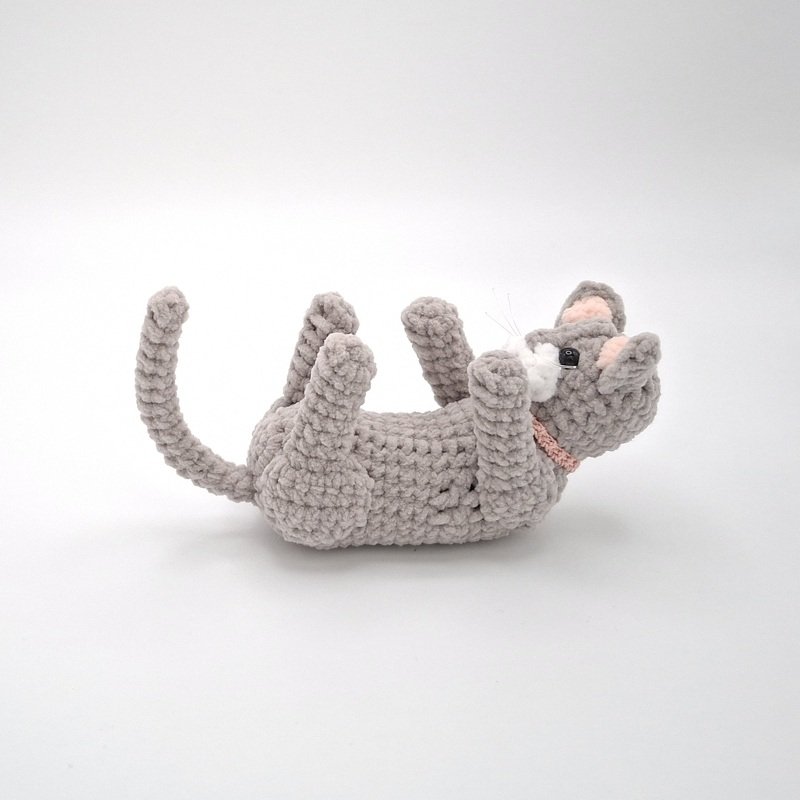 Cindy, the playing cat