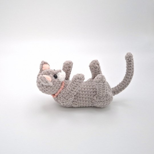 Cindy, die spielende Katze