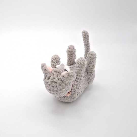 Cindy, the playing cat