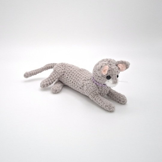 Carrie, the reclining cat