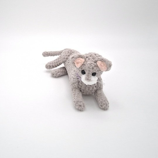 Carrie, die ruhende Katze