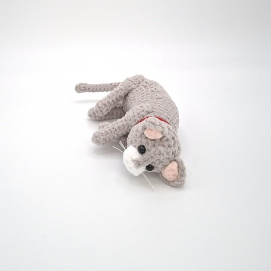 Cathy, die schlafende Katze