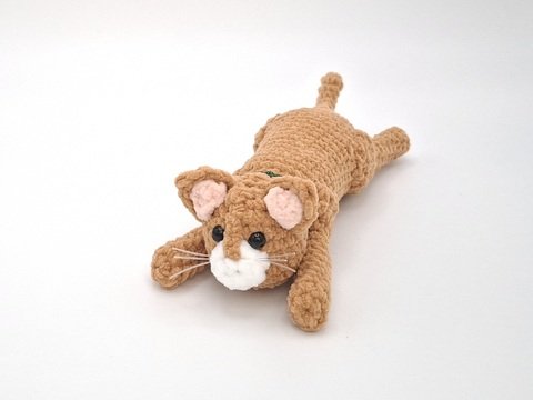 Chrissy, die Super-Katze