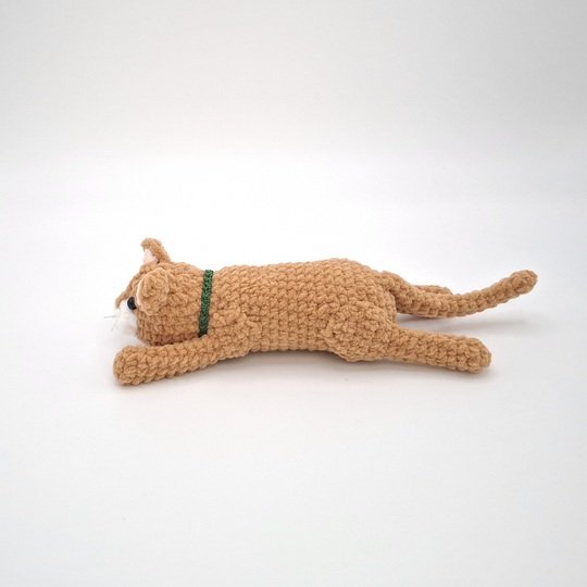 Chrissy, die Super-Katze