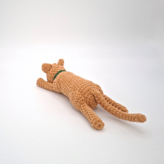 Chrissy, the super-cat