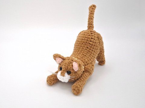 Clarissa, die streckende Katze