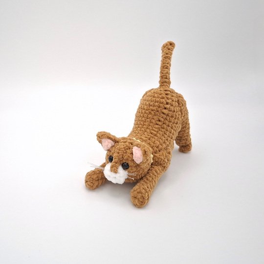 Clarissa, the streching cat