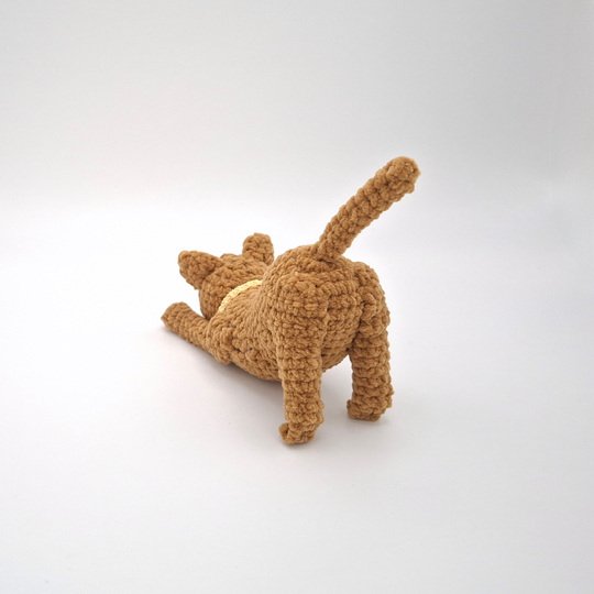 Clarissa, die streckende Katze