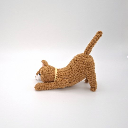 Clarissa, the streching cat