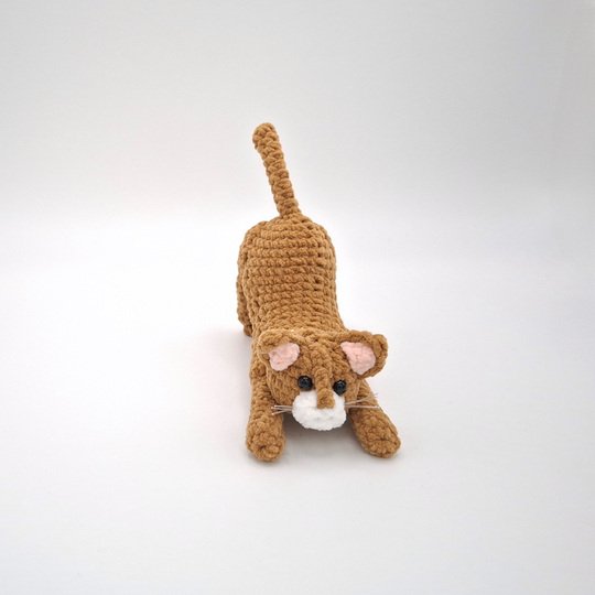 Clarissa, the streching cat