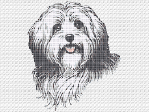 Kreuzstichvorlage Havaneser Cookie, sticke dir ein süßes Hundeporträt