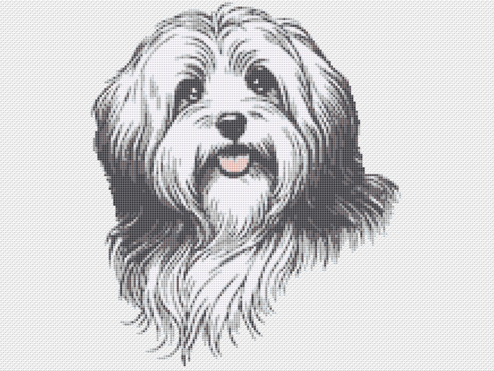 Kreuzstichvorlage Havaneser Cookie, sticke dir ein süßes Hundeporträt
