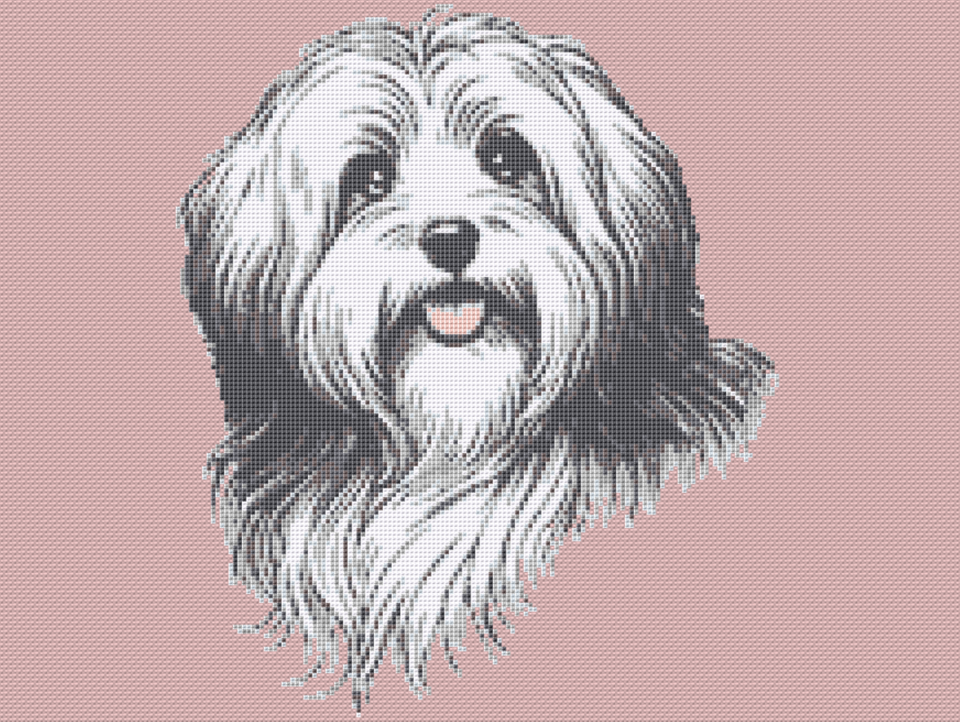 Kreuzstichvorlage Havaneser Cookie, sticke dir ein süßes Hundeporträt - Bild 5