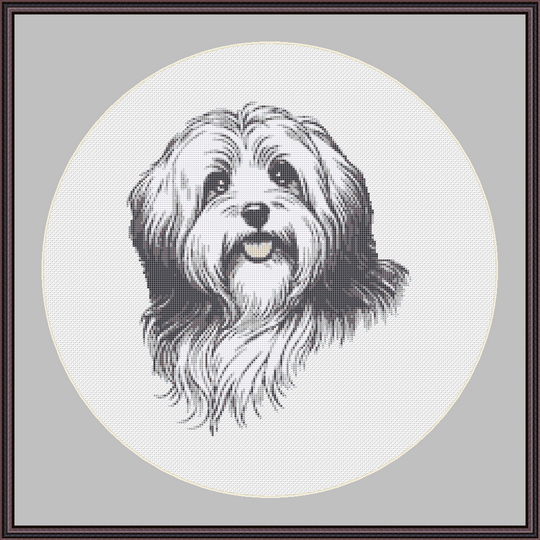 Kreuzstichvorlage Havaneser Cookie, sticke dir ein süßes Hundeporträt
