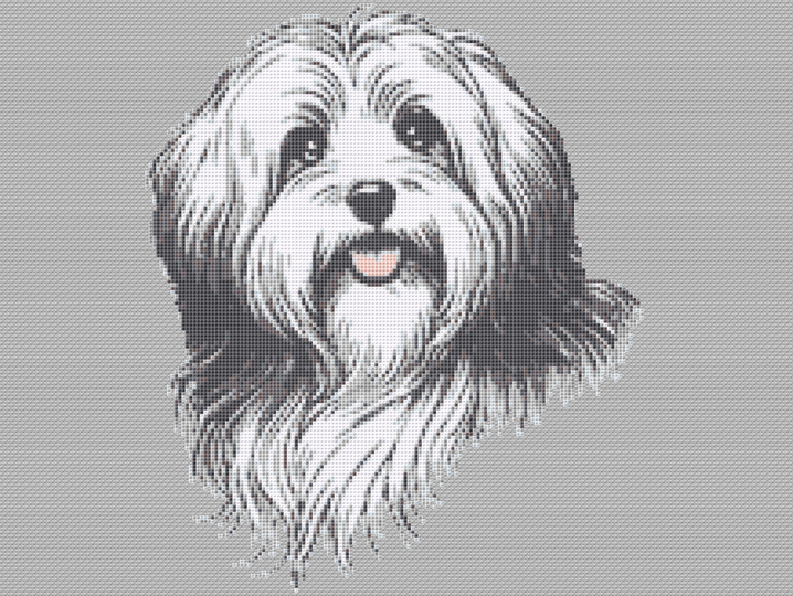 Kreuzstichvorlage Havaneser Cookie, sticke dir ein süßes Hundeporträt