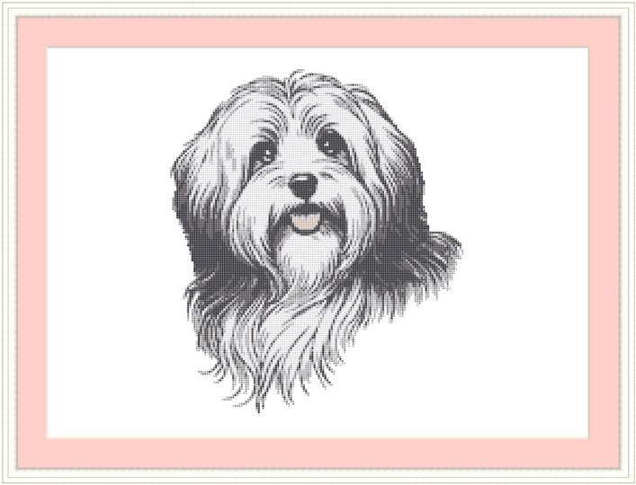 Kreuzstichvorlage Havaneser Cookie, sticke dir ein süßes Hundeporträt