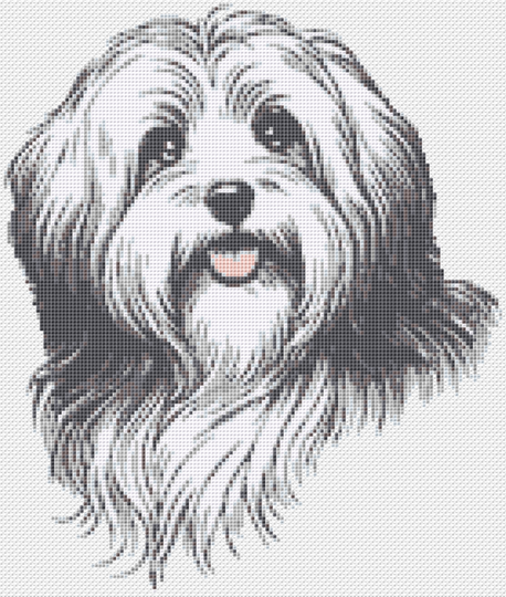 Kreuzstichvorlage Havaneser Cookie, sticke dir ein süßes Hundeporträt