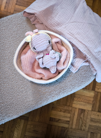 Crochet Pattern Evie Springtime Beetle & Butterfly PDF