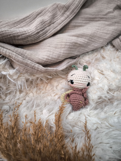 Crochet Pattern Evie Springtime Beetle & Butterfly PDF