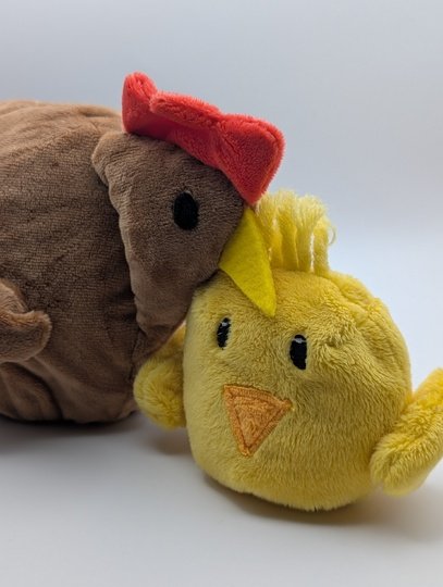 Krempeltierseite Henne (Fortgeschrittene)