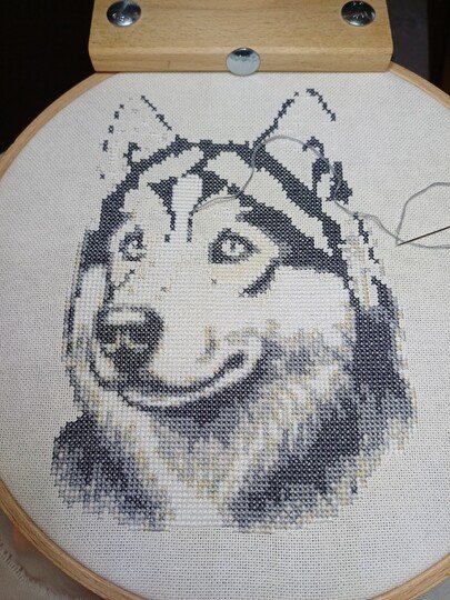 Kreuzstichvorlage Husky Aiko,ein Stickmuster für Hundeliebhaber als PDF/PNG