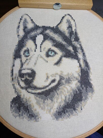 Kreuzstichvorlage Husky Aiko,ein Stickmuster für Hundeliebhaber als PDF/PNG