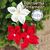 Poinsettia Crochet Pattern: Christmas Flower Ornament