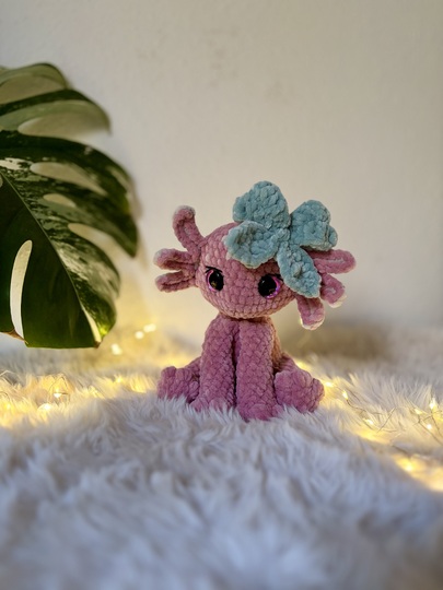 Lotta– das Axolotl