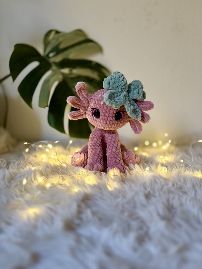 Lotta– das Axolotl