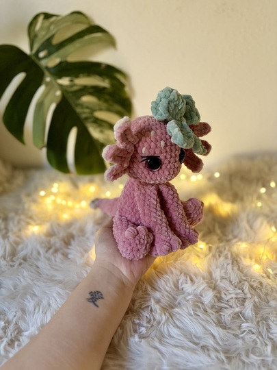 Lotta– das Axolotl