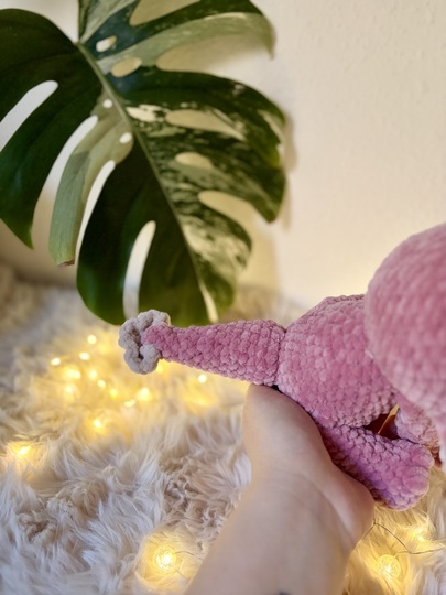 Lotta– das Axolotl