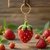 Crochet Strawberry Keychain Pattern – PDF + English Video Tutorial