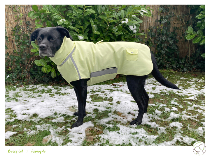 FINIAN dog coat winter coat with lining, XS-XXL, sewing pattern
