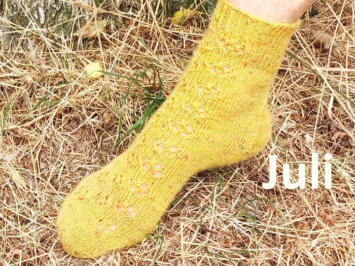 Sockenjahr 2026 - 12 Sockendesigns mit Fixen Quicky Ferse & Two Way Socke