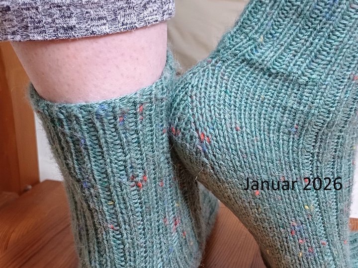 Sockenjahr 2026 - 12 Sockendesigns mit Fixen Quicky Ferse & Two Way Socke