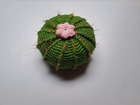 Cactus