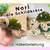 Nori the Turtle – No-Sew Amigurumi Plush Turtle Crochet Pattern PDF