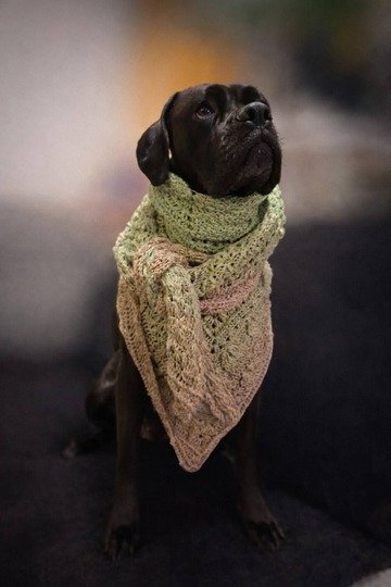 Häkelanleitung Dreieckstuch Germoglio