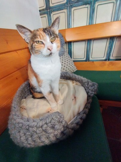 Fingerhäkeln gemützlichen Katzenkorb