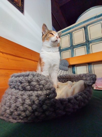 Fingerhäkeln gemützlichen Katzenkorb