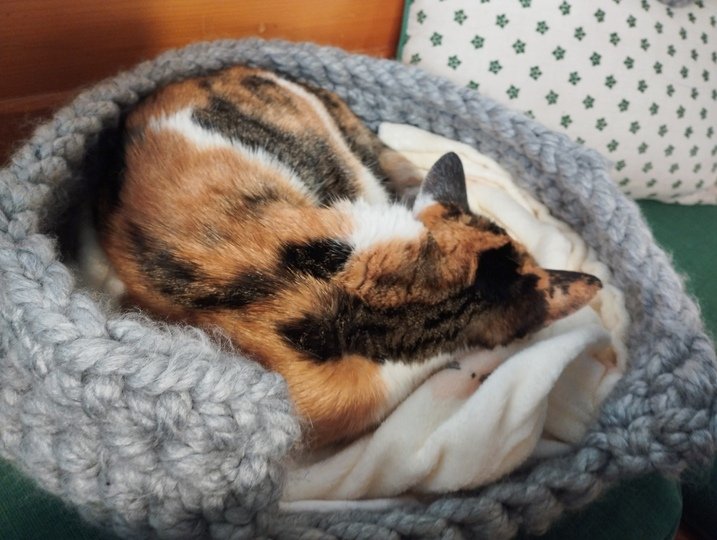 Fingerhäkeln gemützlichen Katzenkorb