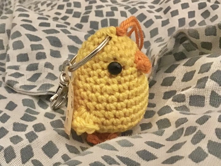 Frieda Küken fadenlosglücklich