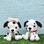 Dalmatian Couple- Crochet Pattern- English